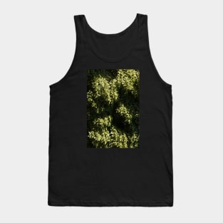 Green Leaves Tree Canopy High Above Tank Top